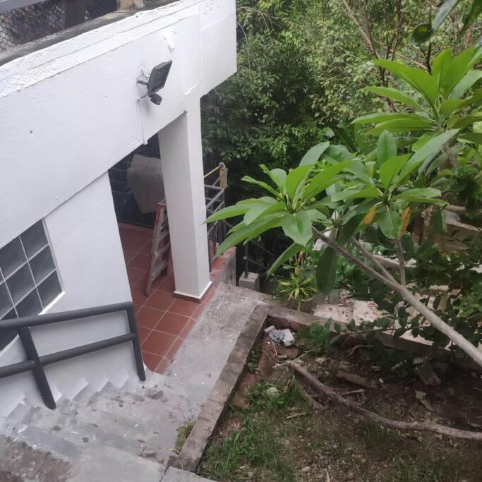 Kk Jungle Hideaway Lovely Apartment 5 Mins Walk To Town Kota Kinabalu Eksteriør billede